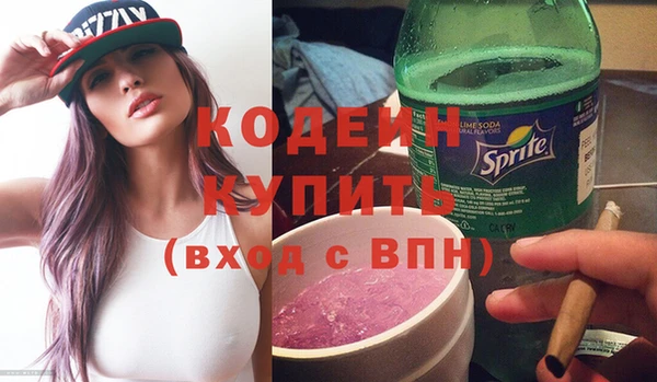 индика Вязьма